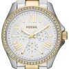 Fossil Cecile Multifunction Crystal Two Tone AM4543 Womens Watch