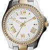 Fossil Cecile Crystal Two-Tone Stainless Steel AM4579 Womens Watch