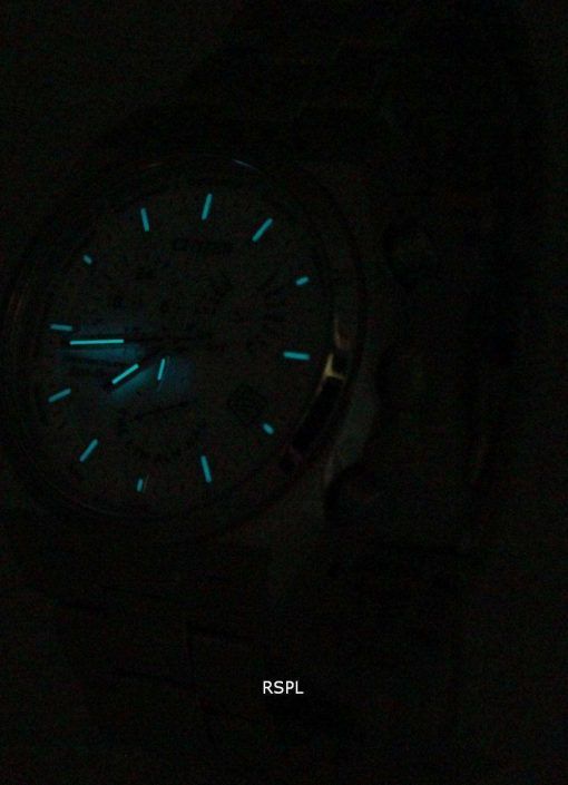 Citizen Eco-Drive Perpetual Calendar BL8130-59A Mens Watch