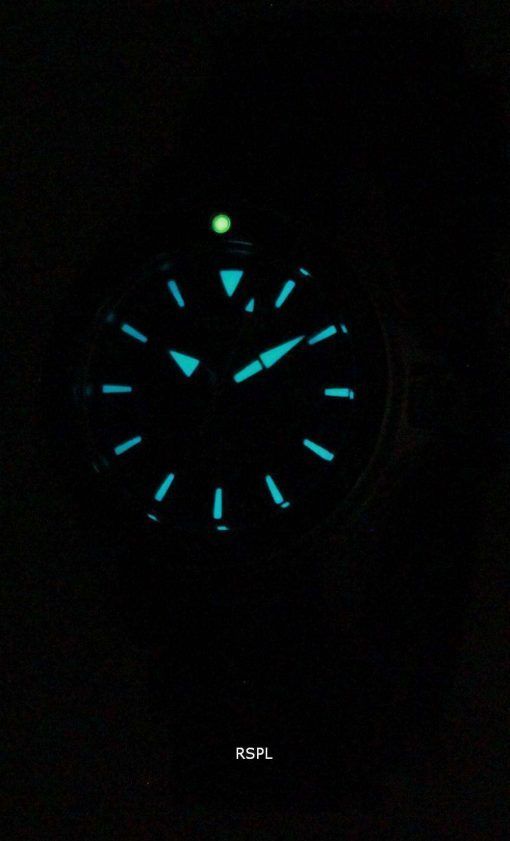 Citizen Eco-Drive Promaster Divers EP6040-02E Womens Watch