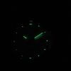 Seiko Sapphire Quartz 100M SXDG64P1 SXDG64P Women's Watch
