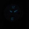 Citizen Eco-Drive Super Titanium EW2101-59B EW2101-59 Ladies Watch