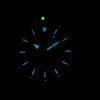 Citizen Eco-Drive Promaster Divers EP6040-53E Womens Watch