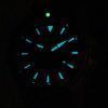 Citizen Eco-Drive Promaster Divers EP6044-01E Womens Watch