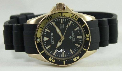 Citizen Eco-Drive Promaster Divers EP6044-01E Womens Watch