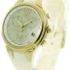 Citizen Eco-Drive Swarovski Crystal FB1313-03A Womens Watch