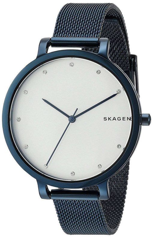 スカーゲン ハーゲン水晶ダイヤモンド アクセント SKW2579 レディース腕時計