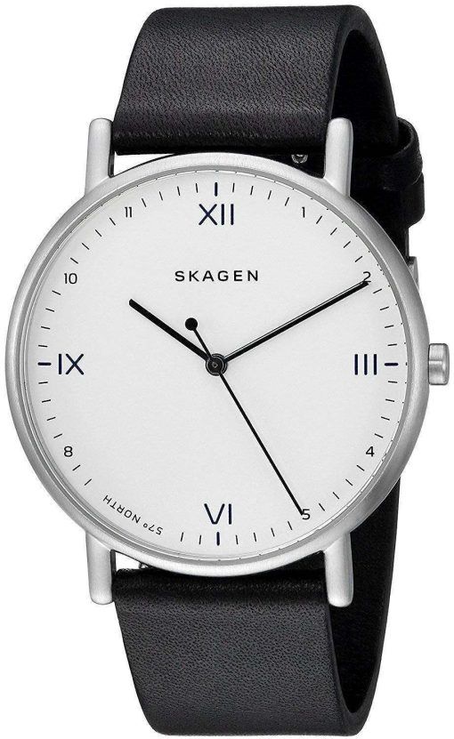 スカーゲン x Playtype 署名石英 SKW6412 メンズ腕時計