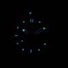 オメガ シーマスター プロフェッショナル ダイバー 300 M 212.30.28.61.01.001 水晶女性の時計