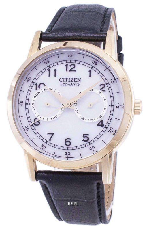 市民エコドライブの日と日付のサブダイヤル AO9003 16A メンズ腕時計