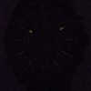 ブローバ精密派の画家 98B313 300 M クロノグラフ クォーツ メンズ腕時計