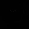 エンポリオアルマーニ クラシック レトロなクロノグラフ クォーツ AR1701 メンズ腕時計