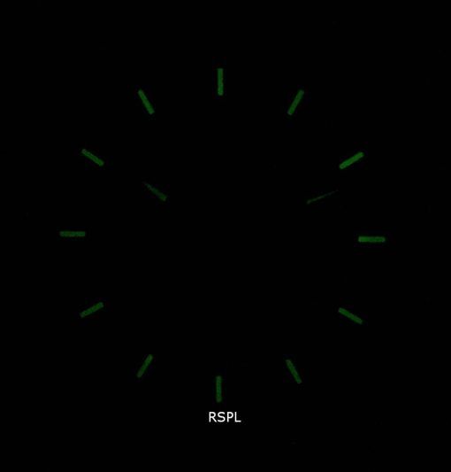 インビクタS1ラリー29994クォーツクロノグラフメンズ腕時計