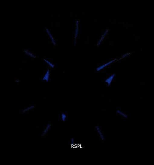 インビクタスピードウェイ30038クォーツタキメーターメンズ腕時計