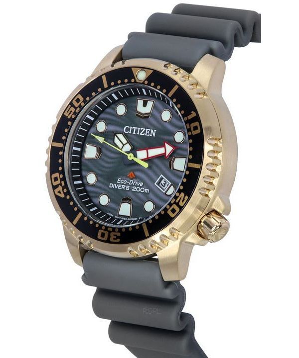シチズン プロマスター グレー ダイヤル エコ ドライブ ダイバーズ BN0163-00H 200M メンズ腕時計